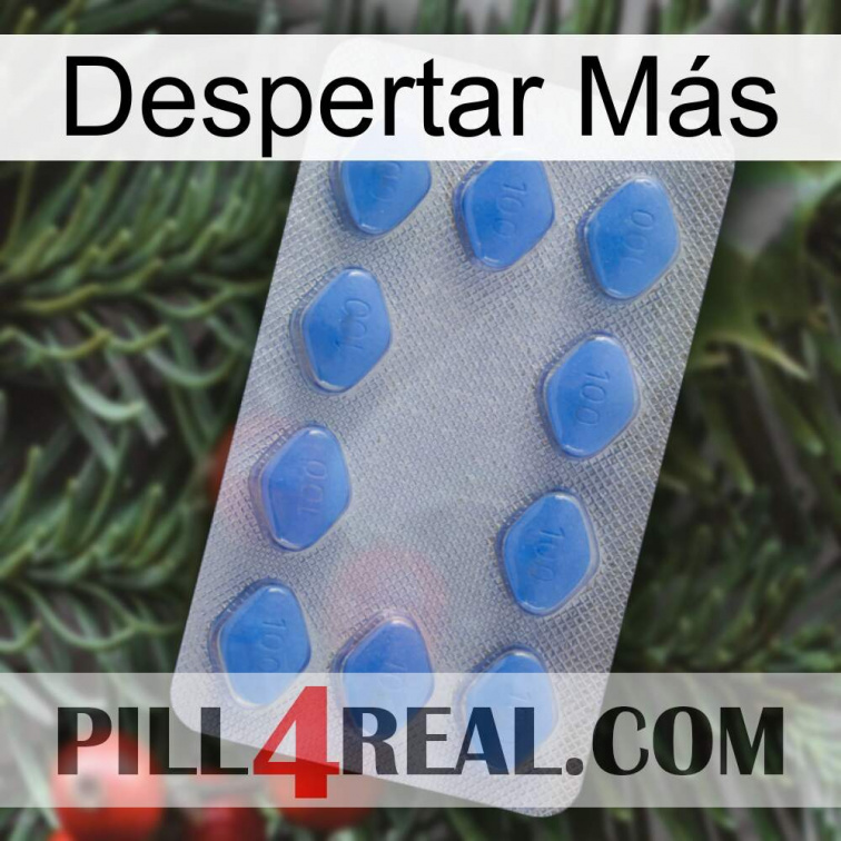 Despertar Más 21